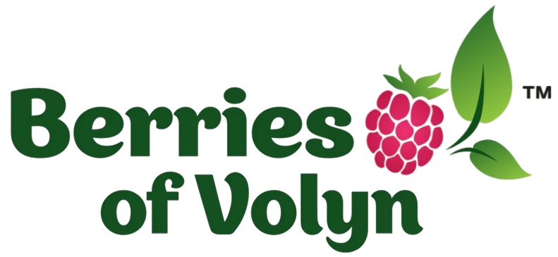 Berries of Volyn